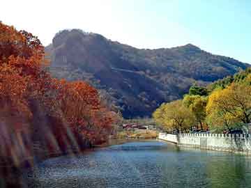 澳门天天开奖免费资料，深圳地垫厂家